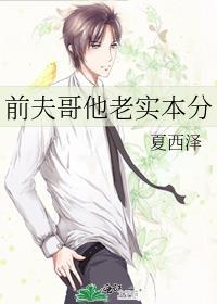 前夫哥他老实本分晋江文学城