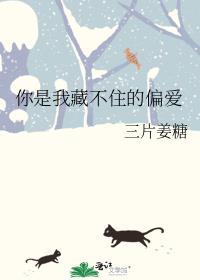 你是我藏不住的偏爱什么意思