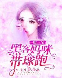一胎三宝黑客妈咪带球跑十八岁