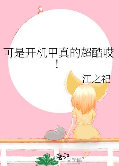 可是开机甲真的超酷哎！